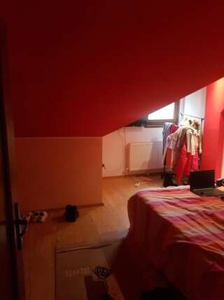Проживание в семье Vila mario Галац Двухместный номер с 1 кроватью и собственной ванной комнатой-3
