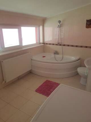 Проживание в семье Vila mario Галац Двухместный номер с 1 кроватью и собственной ванной комнатой-1